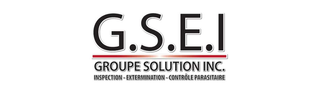 Logo - G.S.E.I